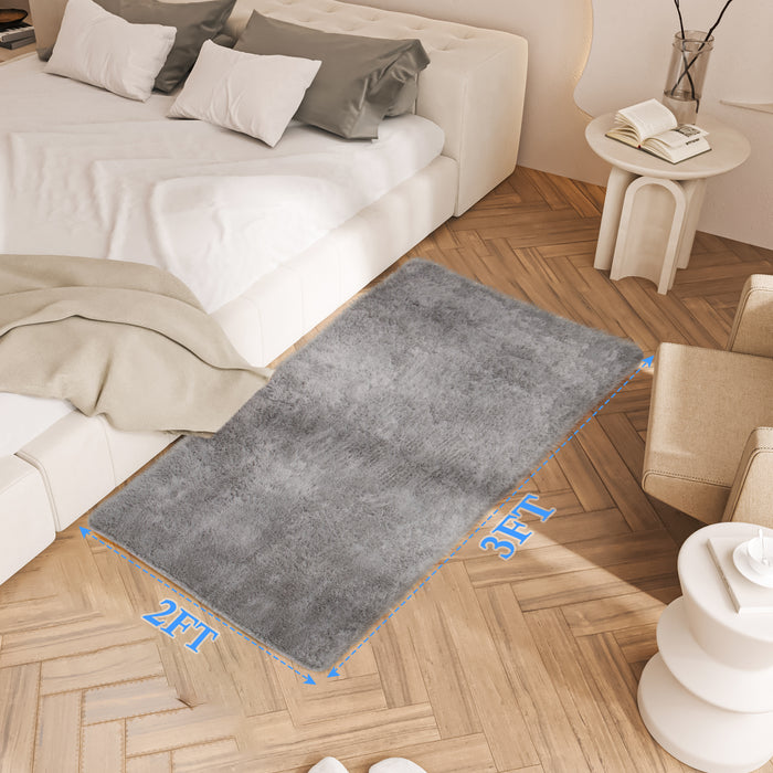 Area Rug, 2ft x 3ft Small Rugs Washable Rugs Non Slip Fluffy Shag Carpets for Entryway Kitchen Bathroom Bedroom, Gray