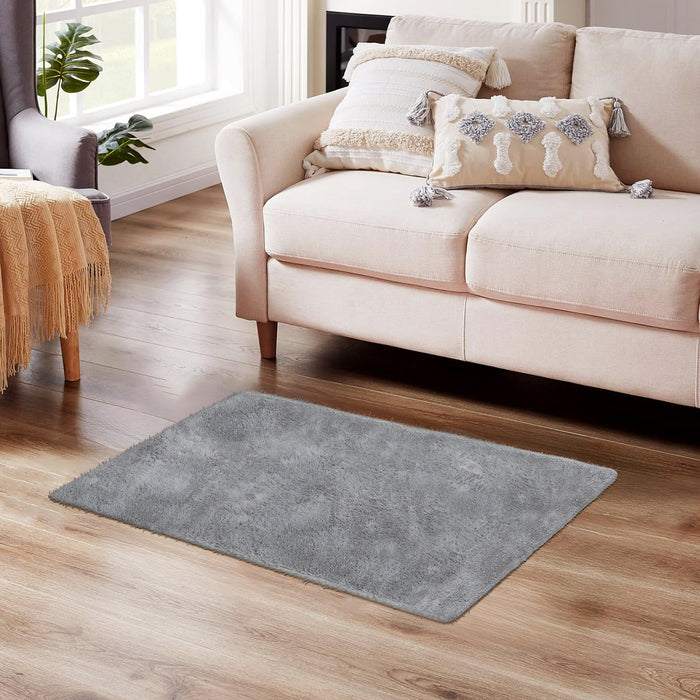 Area Rug, 2ft x 3ft Small Rugs Washable Rugs Non Slip Fluffy Shag Carpets for Entryway Kitchen Bathroom Bedroom, Gray