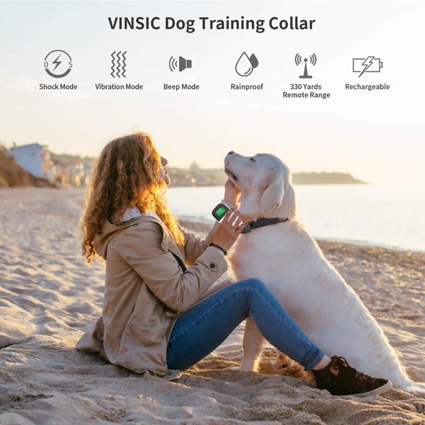 Dog Training Shock Collar